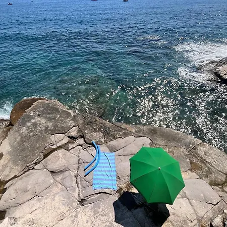 Mare Mio House On The Golfo Paradiso Apartment
